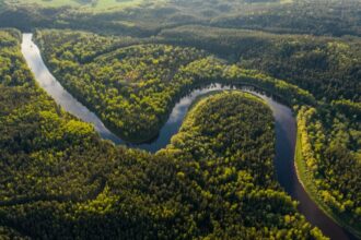 Ilustrasi Hutan Amazon | Sumber Foto: Unsplash/@ivoprod
