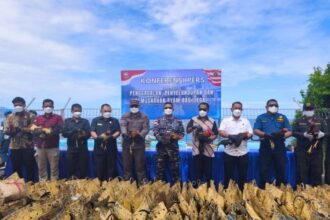 Konferensi pers penggagalan dan pemusnahan barang bukti ayam rasa ilegal asal Filipina di Mako Lanal Tahuna, Kepulauan Sangihe, Sulawesi Utara, Kamis (3/7/2025) | Sumber Foto: Dispen Koarmada II