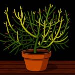 Ilustrasi Tanaman Patah Tulang atau Euphorbia tirucalli L | Foto: Cre-AI/BI