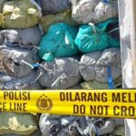 Dalam operasi ini, polisi menyita sebanyak 351 kontainer berisi batubara ilegal sebagai barang bukti | Sumber Foto: Ist/Dimas Ap