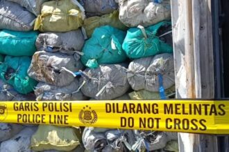 Dalam operasi ini, polisi menyita sebanyak 351 kontainer berisi batubara ilegal sebagai barang bukti | Sumber Foto: Ist/Dimas Ap