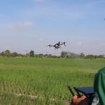 Petani menggunakan drone pertanian untuk memantau pertumbuhan tanaman sekaligus menyemprotkan pestisida | Sumber Foto: Kominfo Jateng