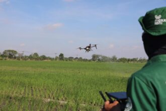 Petani menggunakan drone pertanian untuk memantau pertumbuhan tanaman sekaligus menyemprotkan pestisida | Sumber Foto: Kominfo Jateng