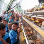 Anak-anak diajak untuk mengenal proses peternakan ayam petelur yang berada di area Kantor DKPP Kota Surabaya, Rabu (23/7/2025) | Sumber Foto: Kominfo Surabaya