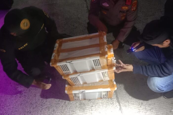 dok. Tim gabungan menemukan keranjang plastik yang berisi burung hidup di dalam bagasi bus | Sumber Foto: Barantin