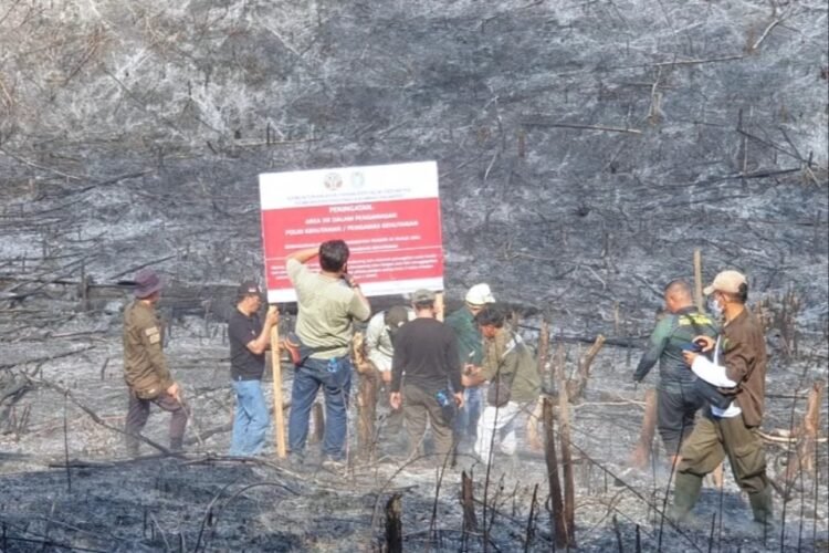 Kemenhut telah memulai proses penegakan hukum terhadap sejumlah entitas yang diduga terlibat dalam kebakaran hutan | Foto: dok. Ditjen Gakkumhut