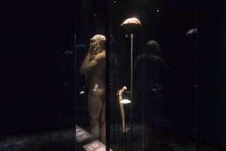 dok. Fosil Homo erectus di Museum Naturalis, Leiden, Belanda (Source: Museum Naturalis)