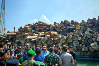 Kasus pembalakan liar di Kepulauan Mentawai, Sumatra Barat diperkirakan merugikan negara Rp240 miliar | Sumber Foto: BPKP