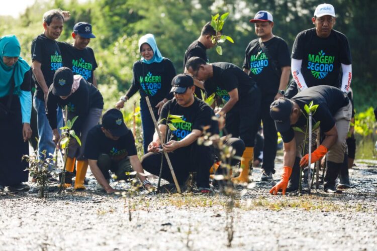 Penanaman mangrove secara serentak di Pantai Muara Kencana, Desa Pidodo Kulon, Kecamatan Patebon, Kabupaten Kendal, Jawa Tengah, Rabu (15/10/2025) | Sumber Foto: Hum Jateng