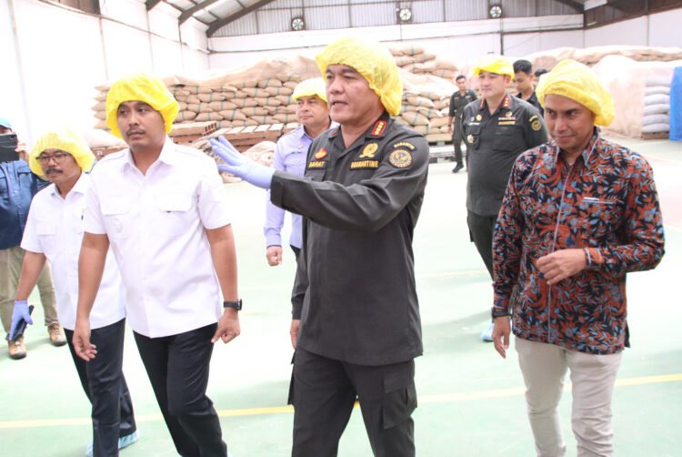 Kegiatan pelepasan ekspor kulit kayu manis di Kabupaten Padang Pariaman, Sumatera Barat, Rabu (26/11/2025) | Foto: Hum/Barantin