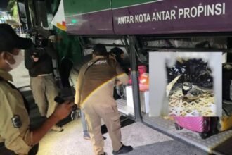 Petugas gabungan menemukan 467 ekor burung berbagai jenis yang disembunyikan dalam bus penumpang antarprovinsi | Sumber Foto: Karantina Lampung