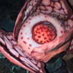 Tangkapan layar video bunga langka rafflesia hasseltii saat mekar | Sumber: IG/Illustratingbotanist