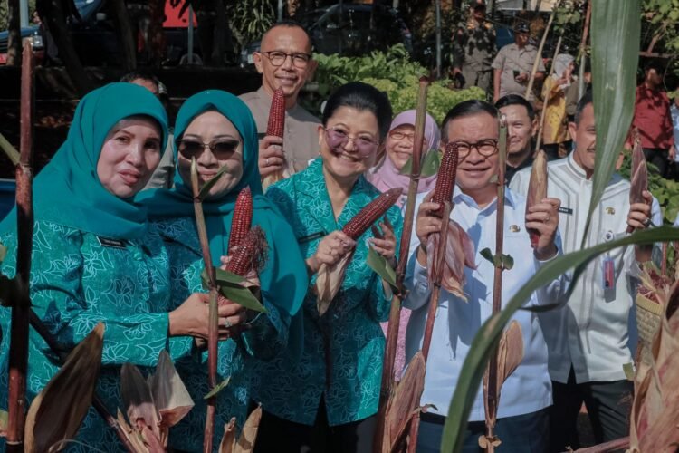 Panen Jagung Pulut dan komoditas sayur di Kebun Berseri, Perumahan Bukit Mas, Pesanggrahan, Jakarta Selatan, Jumat (7/11/2025) | Foto: Pemprov DKI