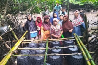 LARITA dan Crab Drum, inovasi hemat energi untuk nelayan dan budidaya kepiting | Foto: dok. Hum/KKP