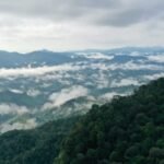 Ilustrasi pemandangan hutan Indonesia (DISLHK Prov Riau)