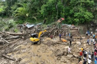 dok. Pencarian korban hilang dan pembukaan akses jalan menggunakan alat berat di Kecamatan Palembayan, Kabupaten Agam, Sumatra Barat, Minggu (30/11/2025) | Sumber Foto: BNPB