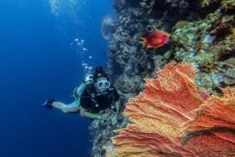 Ilustrasi: Kawasan terumbu karang di Wakatobi, Sulawesi Tenggara | Sumber Foto: Kemenpar