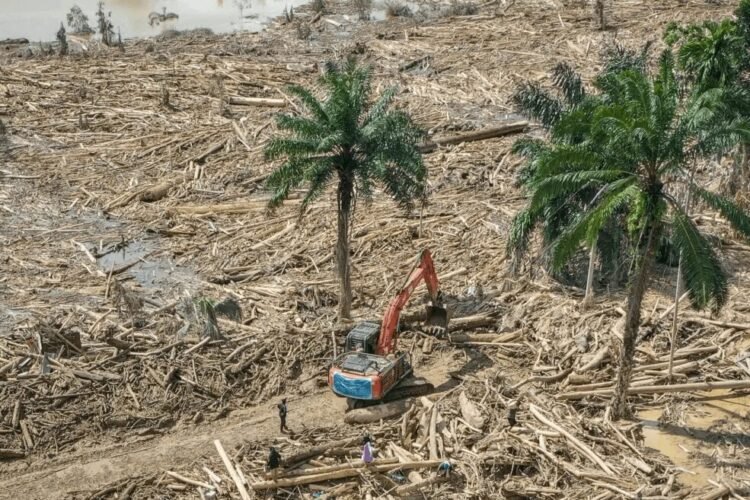 Temuan kayu gelondongan pasca banjir bandang yang melanda Sumatra Utara pada Selasa (25/11/2025) | Sumber Foto: Divhum Polri
