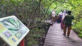 Kawasan Kebun Raya Mangrove (KRM) Gunung Anyar, Kota Surabaya, Jawa Timur. (dok. Dna/BI)