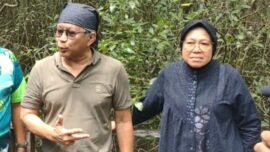 Pengamat politik Rocky Gerung bersama Ketua DPP PDI Bidang Penanggulangan Bencana Tri Rismaharini, saat kegiatan penanaman mangrove di Surabaya, Sabtu (17/1/2026) (Dap/BI)