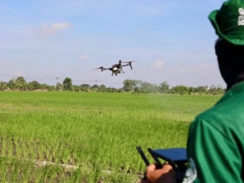 Ilustrasi: Penyemprotan atau pemupukan padi menggunakan drone sprayer (Foto: Pemkot Jateng)