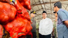 Menteri Pertanian (Mentan) Andi Amran Sulaiman saat turun ke Semarang untuk melakukan pengecekan ribuan karung bawang bombay ilegal (Foto: Kementan)