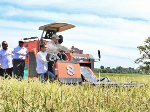 dok. Presiden Prabowo Subianto menghadiri kegiatan Panen Raya Nasional di Desa Randegan Wetan, Kecamatan Jati 7, Majalengka, Jawa Barat, Senin (7/4/2025). (Foto: BPMI Setpres)