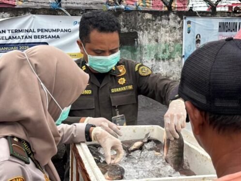 dok. Petugas melakukan pengawasan dan pengecekan terhadap komoditas pangan (Foto: Hum/Barantin)