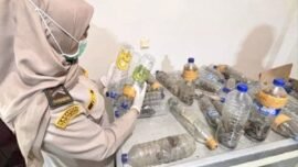 Petugas Karantina Maluku Utara mengamankan puluhan ekor satwa (Sumber Foto: dok. Karantina Malut)
