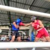 Pertina Surabaya menyiapkan sekitar 24 petinju dari berbagai kelas (Foto: Pertina Surabaya)