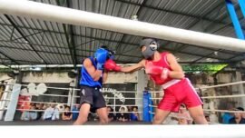 Pertina Surabaya menyiapkan sekitar 24 petinju dari berbagai kelas (Foto: Pertina Surabaya)