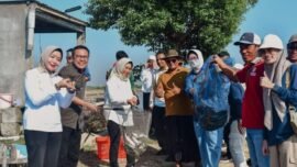 Panen raya bandeng dan udang di kawasan tambak Medokan Ayu, Kota Surabaya, Jawa Timur, Rabu (15/7/2026) pagi. (Ist/MN-H)