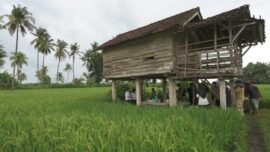 beras_banyuwangi