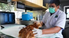 Mobil Klinik Hewan Keliling dengan layanan lengkap di Jakarta, mulai vaksinasi hingga sterilisasi. (Foto: dok/Kominfotik DKI)