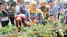 Gubernur Jawa Timur Khofifah Indar Parawansa saat memanen sayur hasil Program SIKAP di SMAN Taruna Nala Jawa Timur, Kamis (20/8/2026). (Sumber Foto: Ro-Adm Jatim)