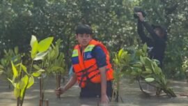 Dok. Pelajar SMP Negeri 1 Surabaya, Harley Fatahillah, saat kegiatan penanaman mangrove. (Foto: Istimewa)