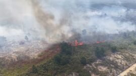Dok. Kebakaran lahan seluas 12 hektare di Tanjung Batu, Kecamatan Pulau Derawan, Kabupaten Berau, Kalimatan Timur. (Sumber Foto: IG/Polresberau)