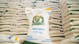 Dok. Bantuan pangan beras medium 10 Kg dari Bulog. (Sumber Foto: Bapanas)