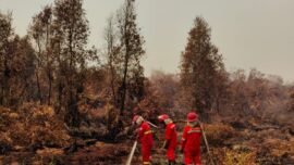 Petugas melakukan penanganan kebakaran hutan dan lahan. (Foto: dok. Kemenhut)