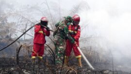 dok. Petugas gabungan melakukan penanganan kebakaran hutan dan lahan (Karhutla). (Sumber Foto: Kemenhut)