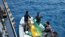 Tim Penyelam saat evakuasi korban KM Virgo Transport 8 di Perairan Masalembo, Laut Jawa, Jumat (18/9/2026). (Aset: Property of TNI AL)